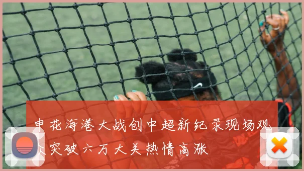 申花海港大战创中超新纪录现场观众突破六万大关热情高涨