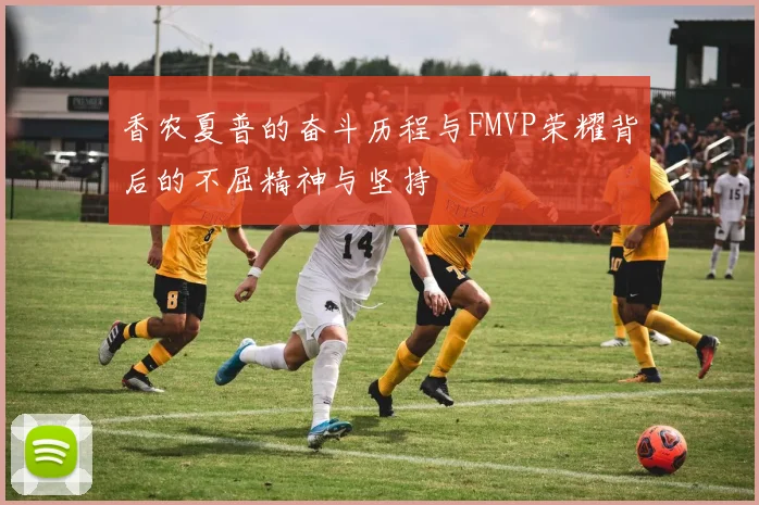 香农夏普的奋斗历程与FMVP荣耀背后的不屈精神与坚持