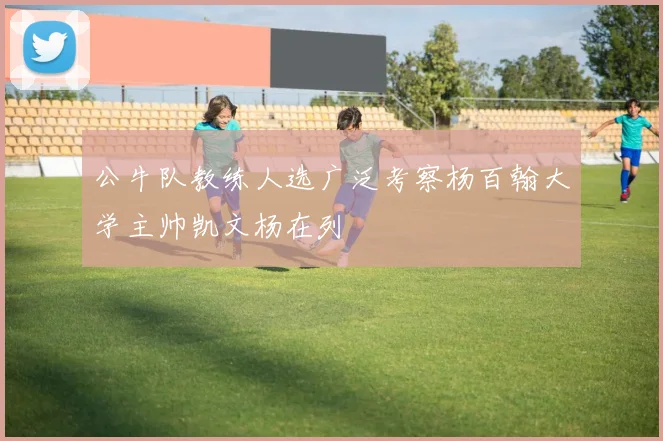 公牛队教练人选广泛考察杨百翰大学主帅凯文杨在列