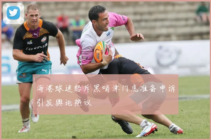 海港球迷怒斥黑哨津门虎准备申诉引发舆论热议